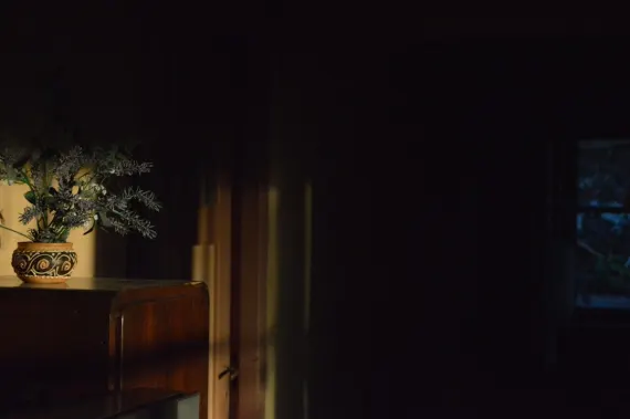 트라다 카지노 지원